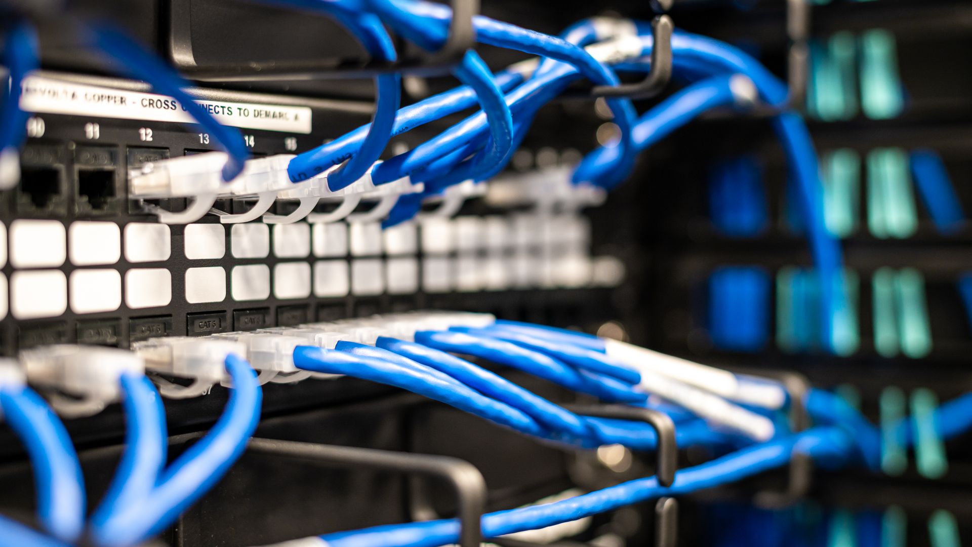 Blaue Netzwerkkabel an einem Patchpanel; Symbolbild für Netzwerksicherheit.